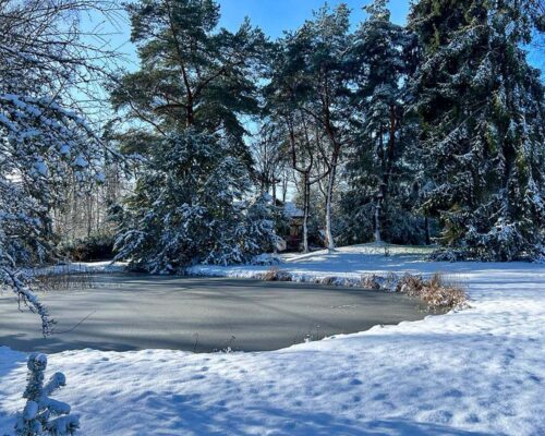 6b81c4f7-f0c5-4fef-af0c-019eeea9f42c-min